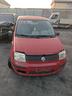 fiat-panda-1-2-2010-188a4000-demolito-per-ricambi-