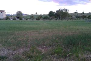 Terreno edificabile e agricolo con fabbricato opz
