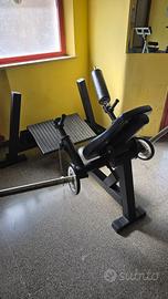 Hip Thrust Machine VISA SPORT a piastre – professi