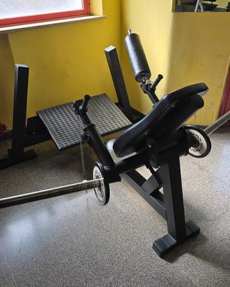 Hip Thrust Machine VISA SPORT a piastre – professi