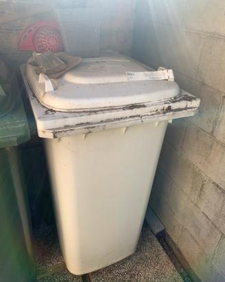 Bidoni spazzatura condominiali grossi