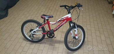 Bicicletta Bimbo misura 20