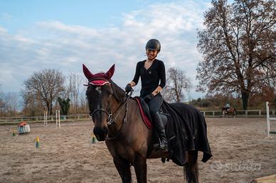 Cavallo