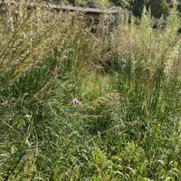 Rustico Castellabate