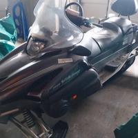 Motoslitta Yamaha Viking RS 1200