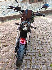 Benelli leoncino 500 2022