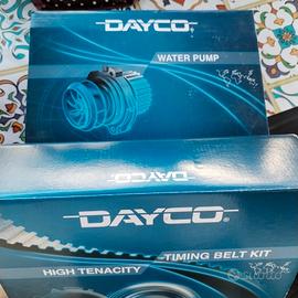 kit distribuzione  Ford Fiesta 