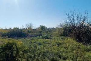 RGE 51/2024 Trib Salerno