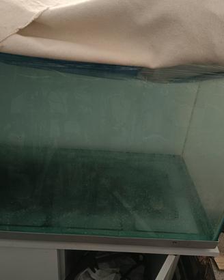 acquario