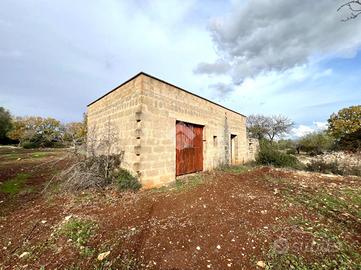 CASA DI CORTE A CEGLIE MESSAPICA