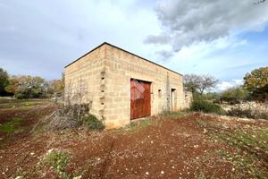 CASA DI CORTE A CEGLIE MESSAPICA