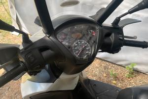 Sh 125