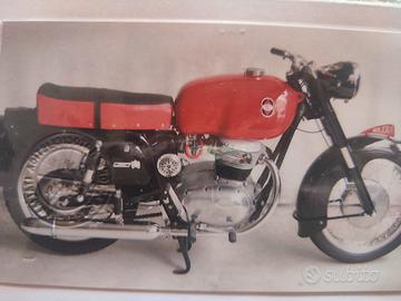 moto b 300 
