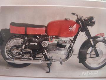 moto b 300 