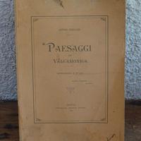 Paesaggi di VALCAMONICA  Artiro Cazzaglio