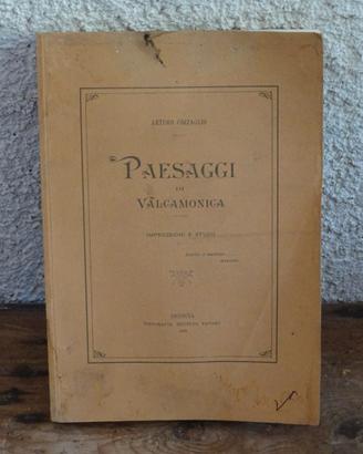 Paesaggi di VALCAMONICA  Artiro Cazzaglio