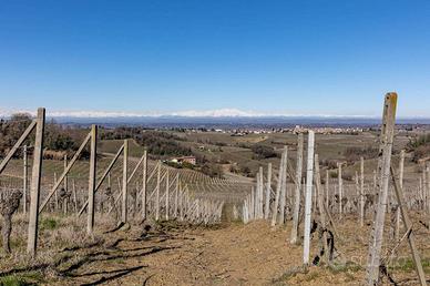 Terreno di 70000 m² a Fontanile