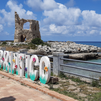 Lastminute a pochi Km. da Tropea