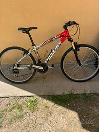 Bicicletta Sanvido