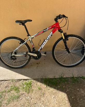 Bicicletta Sanvido