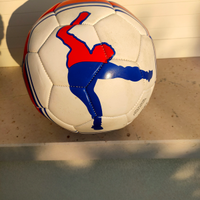 Pallone da calcio