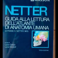 atlante anatomia