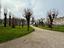 Immagine 6