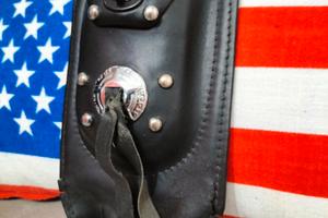 Dash panel Harley Davidson