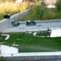 giardini con prato pronto e siepi tutto prodotto d