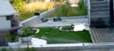 giardini con prato pronto e siepi tutto prodotto d