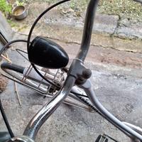 Bici donna Adriatica