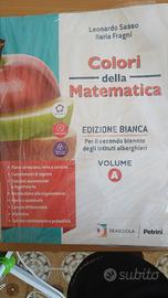 Colori della Matematica Volume A