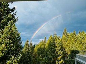 Estate in Val di Sole