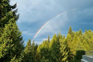 Estate in Val di Sole