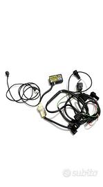 HealTech iQSE-1 QuickShifter Easy + cavo QSH-P4B