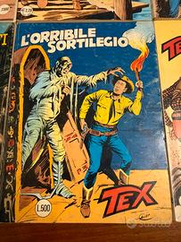 Tex - L’Orribile Sortilegio (n. 229) 🌵🏇🌟📚