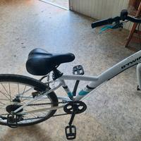 bicicletta da 24