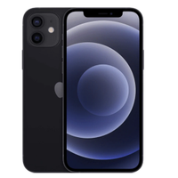 iPhone 12/12 Mini-ritiro usato 1 anno garanzia