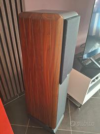 chario constellation pegasus