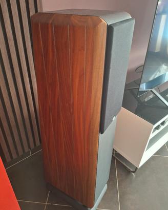 chario constellation pegasus