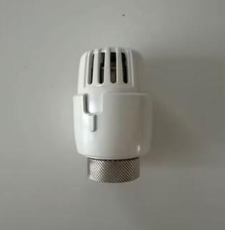 Testa termostatica originale RBM nuova.