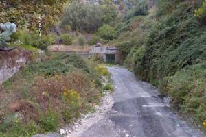 Terreno agricolo