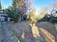 Immagine 19