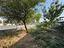Immagine 11
