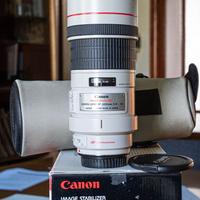 Canon 300 f4 L