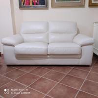 Divani in pelle