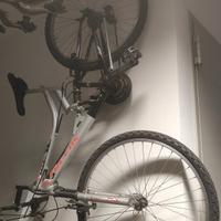 Mountain bike misura 26
