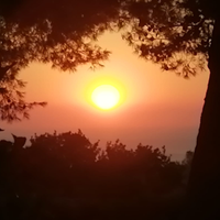 Aiutocuoco /lavapiatti con esperienza