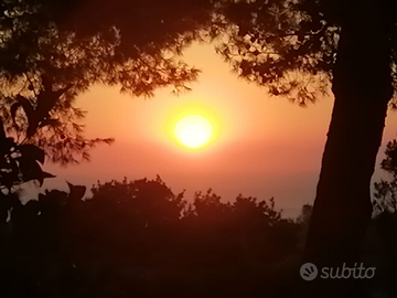 Aiutocuoco /lavapiatti con esperienza