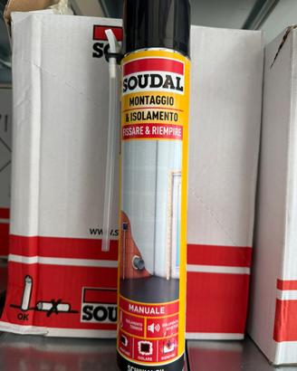 Schiuma poliuretanica universale manuale 750ml